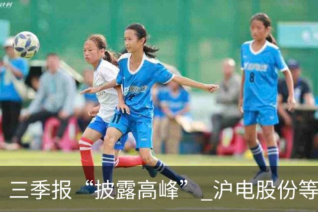 三季报“披露高峰” 沪电股份等深市大市值绩优股业绩集中兑现
