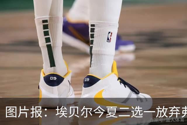 图片报：埃贝尔今夏二选一放弃弗里克
