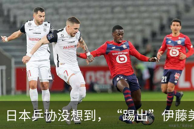 日本乒协没想到，“踢出”伊藤美诚名单不到一天，就遭到口碑反噬